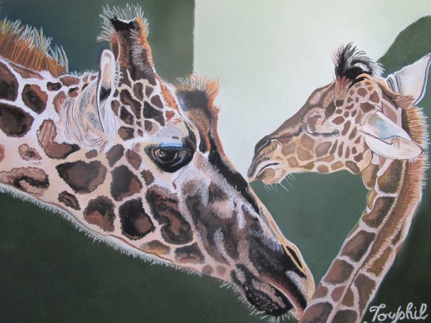 Animaux Sauvage