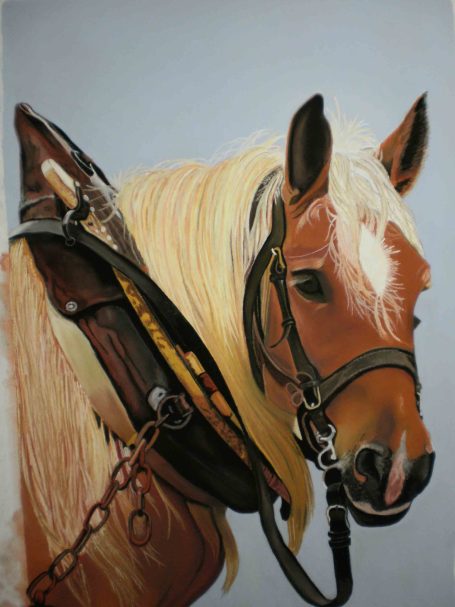 Chevaux